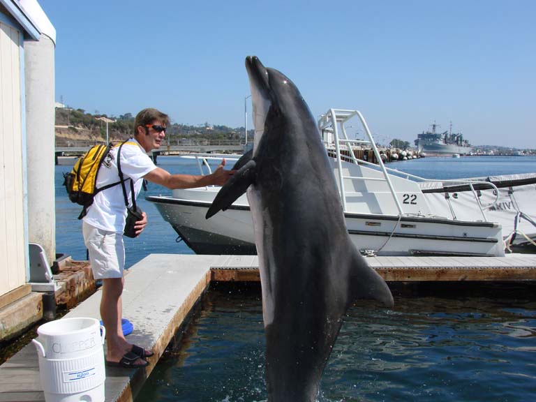 AHS Ames High School 1980 James Miller high five a dolphin San Diego California August 13, 2006
